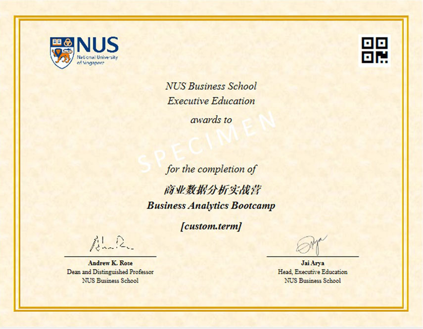 Business Analytics For Strategic Decisions Programme Certificate